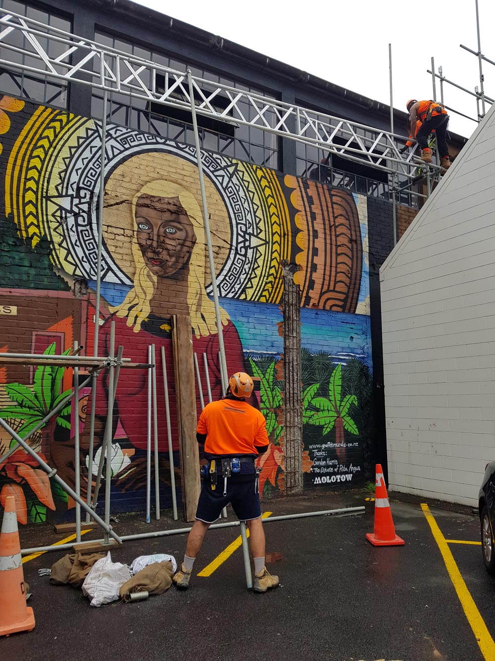 scaffolding around the auckland area